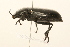  ( - 09BBCOL-0897)  @13 [ ] CreativeCommons - Attribution (2009) Unspecified Centre for Biodiversity Genomics