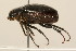  ( - 09BBCOL-0926)  @12 [ ] CreativeCommons - Attribution (2009) Unspecified Centre for Biodiversity Genomics