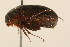  ( - 09BBCOL-0939)  @13 [ ] CreativeCommons - Attribution (2009) Unspecified Centre for Biodiversity Genomics