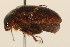  ( - 09BBCOL-0941)  @13 [ ] CreativeCommons - Attribution (2009) Unspecified Centre for Biodiversity Genomics