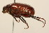  ( - 09BBCOL-0943)  @12 [ ] CreativeCommons - Attribution (2009) Unspecified Centre for Biodiversity Genomics