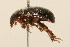  ( - 09BBCOL-0949)  @13 [ ] CreativeCommons - Attribution (2009) Unspecified Centre for Biodiversity Genomics