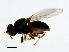  ( - 09BBDIP-0467)  @12 [ ] CreativeCommons - Attribution (2009) Unspecified Centre for Biodiversity Genomics