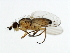 ( - 09BBDIP-0486)  @13 [ ] CreativeCommons - Attribution (2009) Unspecified Centre for Biodiversity Genomics
