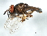  ( - 09BBDIP-0535)  @13 [ ] CreativeCommons - Attribution (2009) Unspecified Centre for Biodiversity Genomics