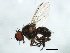  ( - 09BBDIP-0544)  @13 [ ] CreativeCommons - Attribution (2009) Unspecified Centre for Biodiversity Genomics
