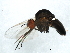  (Gerontini - 09BBDIP-0567)  @12 [ ] CreativeCommons - Attribution (2009) Unspecified Centre for Biodiversity Genomics