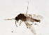  ( - 09BBDIP-0613)  @13 [ ] CreativeCommons - Attribution (2009) Unspecified Centre for Biodiversity Genomics