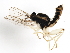  ( - 09BBDIP-0679)  @12 [ ] CreativeCommons - Attribution (2009) Unspecified Centre for Biodiversity Genomics