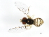  ( - 09BBDIP-0857)  @14 [ ] CreativeCommons - Attribution (2009) Unspecified Centre for Biodiversity Genomics