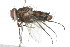  ( - 09BBDIP-0053)  @12 [ ] CreativeCommons - Attribution (2009) Unspecified Centre for Biodiversity Genomics