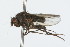  ( - 09BBDIP-0068)  @13 [ ] CreativeCommons - Attribution (2009) Unspecified Centre for Biodiversity Genomics