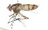  ( - 09BBDIP-0122)  @13 [ ] CreativeCommons - Attribution (2009) Unspecified Centre for Biodiversity Genomics