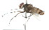  ( - 09BBDIP-0123)  @13 [ ] CreativeCommons - Attribution (2009) Unspecified Centre for Biodiversity Genomics
