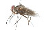  ( - 09BBDIP-0125)  @12 [ ] CreativeCommons - Attribution (2009) Unspecified Centre for Biodiversity Genomics