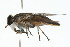  ( - 09BBDIP-0239)  @11 [ ] CreativeCommons - Attribution (2009) Unspecified Centre for Biodiversity Genomics