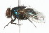  ( - 09BBDIP-0256)  @13 [ ] CreativeCommons - Attribution (2009) Unspecified Centre for Biodiversity Genomics