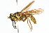  ( - 09BBDIP-0292)  @11 [ ] CreativeCommons - Attribution (2009) Unspecified Centre for Biodiversity Genomics