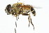  ( - 09BBDIP-0296)  @13 [ ] CreativeCommons - Attribution (2009) Unspecified Centre for Biodiversity Genomics