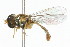  ( - 09BBDIP-0298)  @14 [ ] CreativeCommons - Attribution (2009) Unspecified Centre for Biodiversity Genomics