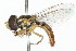  ( - 09BBDIP-0312)  @14 [ ] CreativeCommons - Attribution (2009) Unspecified Centre for Biodiversity Genomics