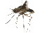  ( - 09BBDIP-0321)  @12 [ ] CreativeCommons - Attribution (2009) Unspecified Centre for Biodiversity Genomics