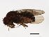  ( - 09BBDIP-1044)  @12 [ ] CreativeCommons - Attribution (2009) Unspecified Centre for Biodiversity Genomics
