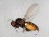  ( - 09BBDIP-1202)  @11 [ ] CreativeCommons - Attribution (2009) Unspecified Centre for Biodiversity Genomics
