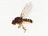  ( - 09BBDIP-1289)  @14 [ ] CreativeCommons - Attribution (2009) Unspecified Centre for Biodiversity Genomics