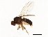 ( - 09BBDIP-1301)  @14 [ ] CreativeCommons - Attribution (2009) Unspecified Centre for Biodiversity Genomics