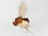  ( - 09BBDIP-1305)  @14 [ ] CreativeCommons - Attribution (2009) Unspecified Centre for Biodiversity Genomics