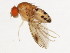  ( - 09BBDIP-1317)  @13 [ ] CreativeCommons - Attribution (2009) Unspecified Centre for Biodiversity Genomics