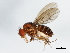  ( - 09BBDIP-1333)  @11 [ ] CreativeCommons - Attribution (2009) Unspecified Centre for Biodiversity Genomics