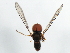  ( - 09BBDIP-1396)  @13 [ ] CreativeCommons - Attribution (2009) Unspecified Centre for Biodiversity Genomics
