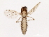  ( - 09BBDIP-1720)  @12 [ ] CreativeCommons - Attribution (2010) CBG Photography Group Centre for Biodiversity Genomics