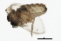  ( - 09BBDIP-1516)  @12 [ ] CreativeCommons - Attribution (2009) Unspecified Centre for Biodiversity Genomics