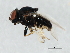  ( - 09BBDIP-1977)  @14 [ ] CreativeCommons - Attribution (2010) CBG Photography Group Centre for Biodiversity Genomics