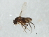  ( - 09BBDIP-1989)  @13 [ ] CreativeCommons - Attribution (2010) CBG Photography Group Centre for Biodiversity Genomics