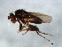  ( - 09BBDIP-2084)  @13 [ ] CreativeCommons - Attribution (2010) CBG Photography Group Centre for Biodiversity Genomics