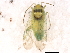  ( - 10BBHEM-243)  @13 [ ] CreativeCommons - Attribution (2010) Unspecified Centre for Biodiversity Genomics
