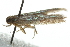 ( - 10BBLEP-00012)  @12 [ ] CreativeCommons - Attribution (2010) CBG Photography Group Centre for Biodiversity Genomics