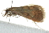  ( - 10BBLEP-00050)  @12 [ ] CreativeCommons - Attribution (2010) CBG Photography Group Centre for Biodiversity Genomics