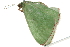  ( - 10BBLEP-00476)  @12 [ ] CreativeCommons - Attribution (2010) CBG Photography Group Centre for Biodiversity Genomics