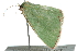  ( - 10BBLEP-00478)  @12 [ ] CreativeCommons - Attribution (2010) CBG Photography Group Centre for Biodiversity Genomics