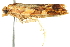  ( - 10BBLEP-00820)  @12 [ ] CreativeCommons - Attribution (2010) CBG Photography Group Centre for Biodiversity Genomics