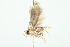  ( - 10BBLEP-01140)  @12 [ ] CreativeCommons - Attribution (2010) CBG Photography Group Centre for Biodiversity Genomics