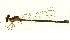  ( - 10BBODA-0204)  @14 [ ] CreativeCommons - Attribution (2010) CBG Photography Group Centre for Biodiversity Genomics