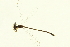  ( - 10BBODA-0230)  @12 [ ] CreativeCommons - Attribution (2010) CBG Photography Group Centre for Biodiversity Genomics