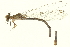  ( - 10BBODA-0248)  @14 [ ] CreativeCommons - Attribution (2010) CBG Photography Group Centre for Biodiversity Genomics