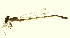  ( - 10BBODA-0137)  @12 [ ] CreativeCommons - Attribution (2010) CBG Photography Group Centre for Biodiversity Genomics
